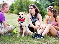 Adoptuj Warszawiaka  Wydarzenie promujące adopcję zwierząt. Organizator: Schronisko dla Bezdomnych Zwierząt "Na Paluchu". 18 sierpnia 2019, Park Raszyński w Raszynie. : park raszyński, adoptuj warszawiaka, na paluchu, schronisko dla zwierząt, centrum warszawy, raszyn